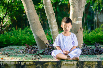 MÉDITATION : Les 2 derniers obstacles au Calme Mental