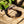 Bracelet bouddhiste en perles sculptées, symbole de méditation et philosophie tibétaine, posé sur bois