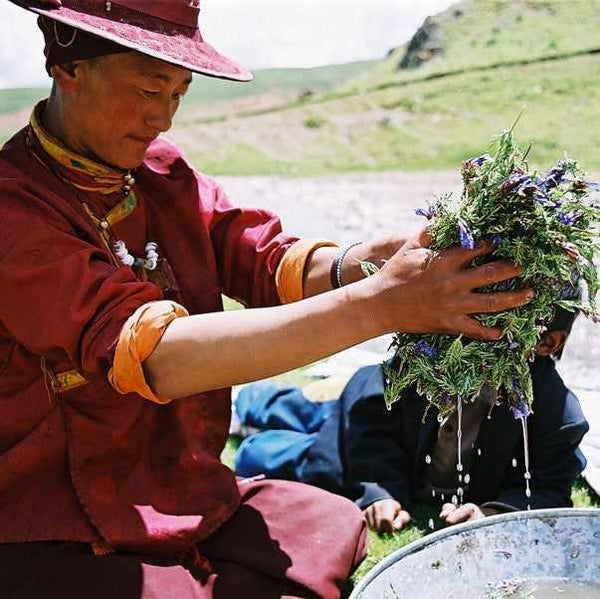 Moine tibétain préparant des herbes médicinales dans un cadre naturel, symbole de la médecine tibétaine traditionnelle