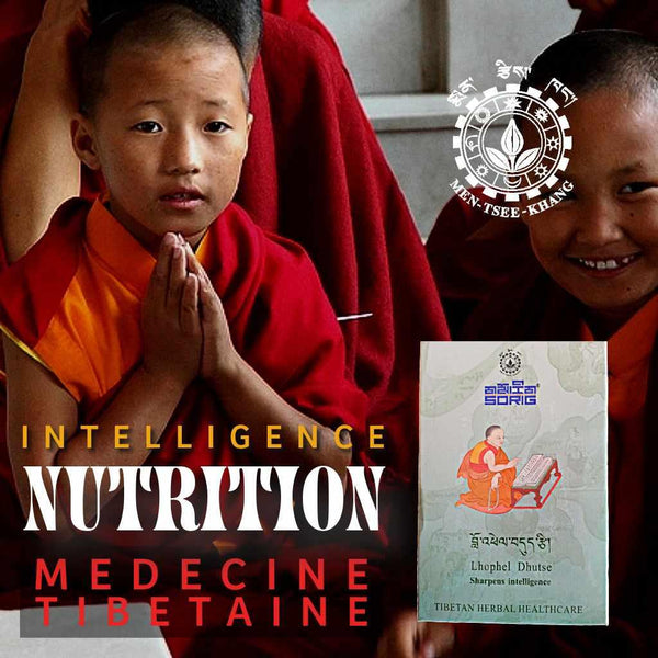 Médicament tibétain Lhophel Dhutse pour l'intelligence, avec moines bouddhistes et logo Men-Tsee-Khang