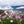 Fleurs sauvages roses et blanches en montagne, paysage tibétain apaisant pour la méditation