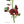 Fleur de lotus rouge tibétain avec feuilles vertes et script tibétain, symbole de la philosophie bouddhiste