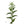 Plante médicinale tibétaine aux feuilles dentelées, symbole de la médecine traditionnelle himalayenne