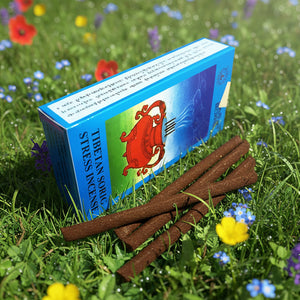 Encens tibétain pour la méditation, bâtonnets naturels sur herbe fleurie, philosophie bouddhiste
