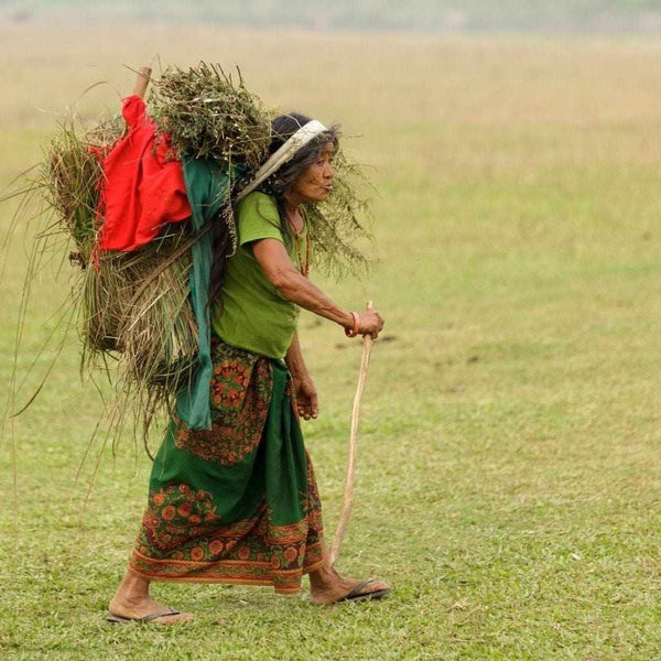 Femme tibétaine portant du foin, vêtue de tenue traditionnelle, dans un champ vert