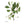 Plante médicinale tibétaine avec feuilles vertes et baies, symbole de la médecine traditionnelle himalayenne