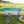 Boîte de thé Heart Care Tea Men-Tsee-Khang dans un champ de fleurs bleues, produits de médecine tibétaine naturelle