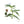 Plante médicinale tibétaine avec fleur bleue et fruits épineux, illustration botanique traditionnelle