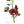 Fleur de lotus rouge tibétain avec feuilles vertes et script tibétain, symbole de la philosophie bouddhiste
