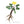 Plante médicinale tibétaine avec fleur jaune et racines, symbole de la médecine traditionnelle himalayenne