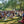 Groupe en méditation bouddhiste en plein air, sous les arbres, avec drapeaux tibétains