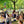Groupe en méditation bouddhiste en plein air sous les arbres, avec drapeau tibétain et enseignement