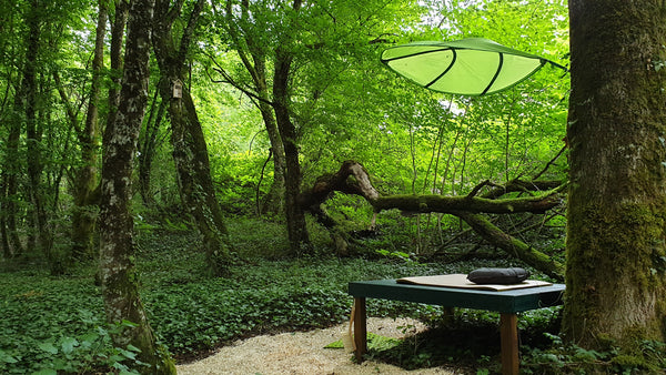 Espace méditation en forêt avec coussin et tapis sous abri vert, idéal pour la pratique bouddhiste