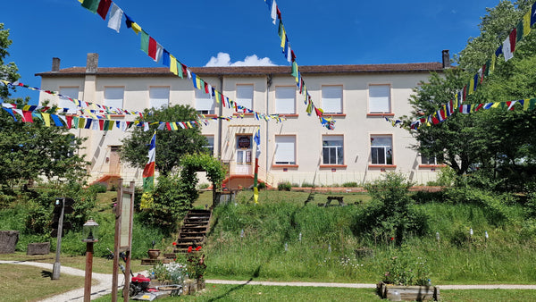 Centre bouddhiste avec drapeaux tibétains colorés sous un ciel bleu, jardin verdoyant et escalier menant à l'entrée.