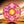 Symbole bouddhiste tibétain de la roue des six syllabes, mandala coloré pour la méditation et la philosophie bouddhiste