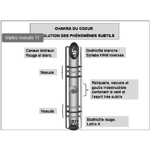 Schéma du Chakra du Cœur avec nœuds, canaux et syllabes bouddhistes tibétaines