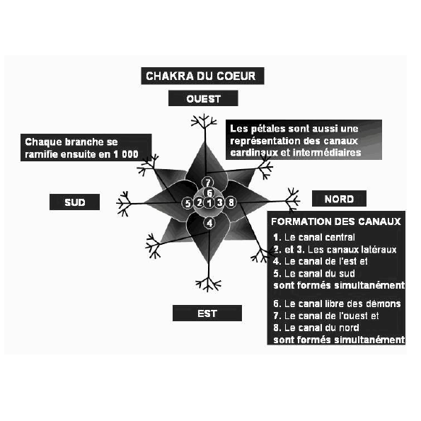 Schéma des chakras et canaux énergétiques en philosophie bouddhiste tibétaine, avec directions cardinales et numérotation