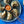 Momos tibétains aux herbes avec sauce épicée, présentés sur assiette avec baguettes