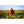 Lama Samten en robe rouge dans un champ de tournesols, enseignant la méditation bouddhiste
