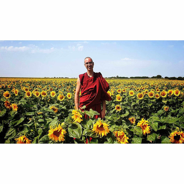 Lama Samten en robe rouge dans un champ de tournesols, enseignant la méditation bouddhiste