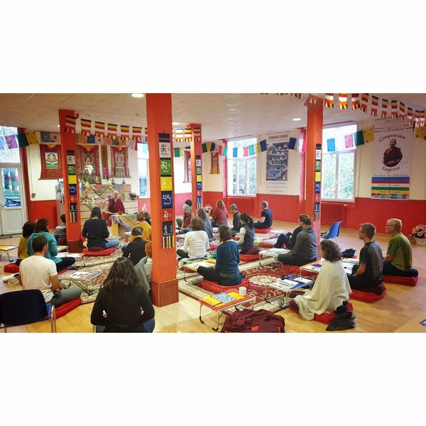 Groupe en méditation bouddhiste avec enseignant, drapeaux tibétains et décor spirituel