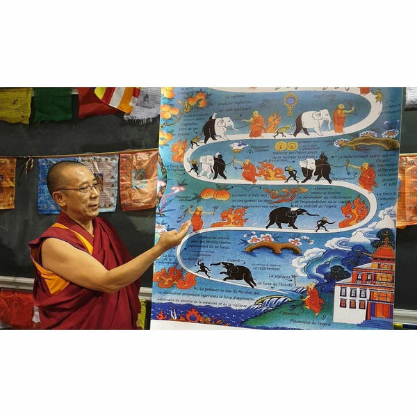 Lama enseignant la méditation avec un thangka illustrant le chemin de l'éléphant, symbole de la philosophie bouddhiste tibétaine.