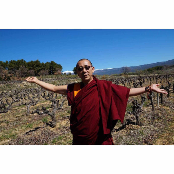 Lama bouddhiste en robe rouge dans un vignoble, montagnes enneigées en arrière-plan
