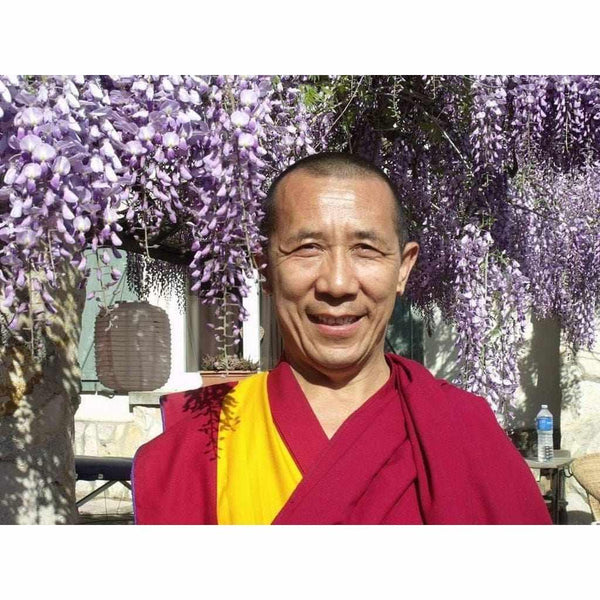 Lama bouddhiste en robe rouge et jaune sous glycine violette, enseignant la méditation et la philosophie tibétaine