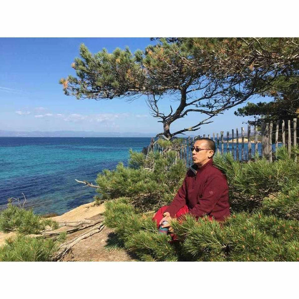 Moine bouddhiste en méditation près de la mer, vêtu de rouge, sous un pin, paysage apaisant