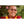 Moine bouddhiste tibétain souriant en robe traditionnelle, lunettes de soleil, fond verdure