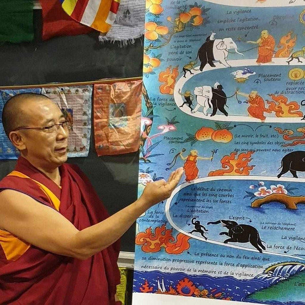 Lama enseignant la méditation bouddhiste tibétaine avec illustration des six forces et de l'éléphant symbolique