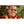 Moine bouddhiste tibétain souriant en robe traditionnelle, lunettes, fond verdure