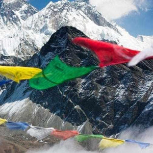 Drapeaux de prière tibétains colorés flottant devant des montagnes enneigées, symboles de la culture bouddhiste himalayenne.