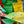 Drapeaux de prière tibétains colorés avec textes sacrés, symboles de la philosophie bouddhiste et culture himalayenne