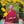 Livre 'Happiness From Day to Day' par Lama Samten, entouré de fleurs jaunes, philosophie bouddhiste tibétaine