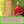 Lama Samten, maître bouddhiste tibétain, sur la couverture du livre 'Bonheur au Jour le Jour', conseils de sagesse bouddhiste