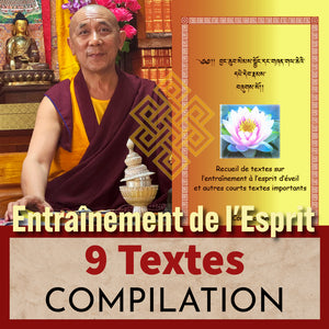 Lama Samten, enseignement bouddhiste tibétain, textes sur l'esprit d'éveil, lotus, statue de Bouddha