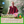 CONFERENCE 29 Nov 16h Zoom | Se libérer de la colère | Tenzin Gawa (Jason)