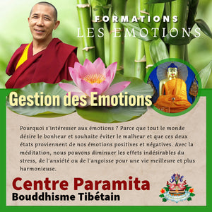 Formation bouddhiste sur la gestion des émotions avec Lama Samten, lotus et Bouddha, Centre Paramita
