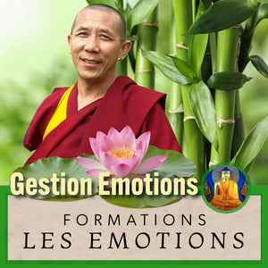 Lama en robe rouge enseignant la gestion des émotions, lotus et bambou, formations bouddhistes
