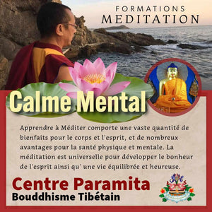 Formation méditation bouddhisme tibétain, calme mental, lotus rose, maître en robe rouge, plage rocheuse