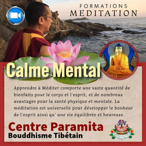 Formation méditation bouddhisme tibétain pour calme mental, avec moine et fleur de lotus