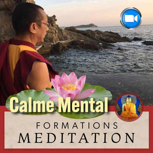 Formation méditation bouddhiste pour calme mental avec Lama Samten, fleur de lotus et vidéo