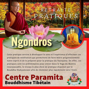 Lama en robe rouge enseignant la méditation Ngondros, fleur de lotus et statue du Bouddha, retraite bouddhiste tibétain