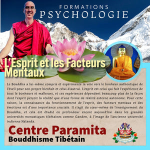 Formation psychologie bouddhiste tibétaine sur l'esprit et facteurs mentaux avec Lama Samten, montagnes himalayennes