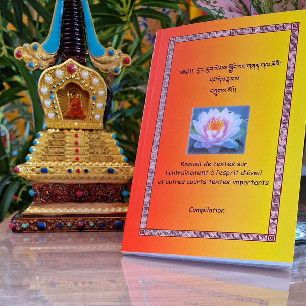 Livre bouddhiste tibétain sur l'éveil avec stupa décoratif, lotus et textes sacrés