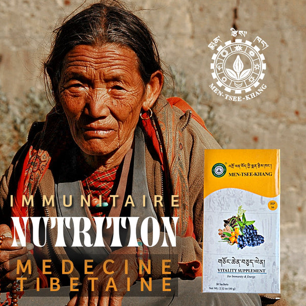 2 Nutritions (Energie Physique) Sorig Chongchen Chulen
