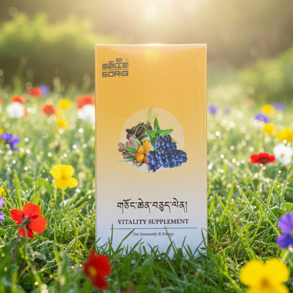 Complément vitalité Sorig pour immunité et énergie, produit naturel de médecine tibétaine, dans un champ fleuri