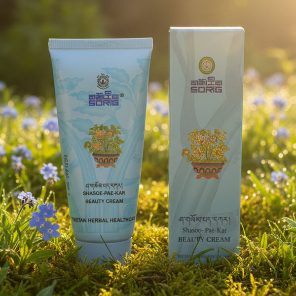Crème de beauté Shasoe-Pae-Kar aux herbes tibétaines, tube et boîte sur l'herbe avec fleurs bleues
