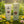 Crème Saab Gaay pour irritation cutanée, produits naturels de médecine tibétaine, herbes himalayennes